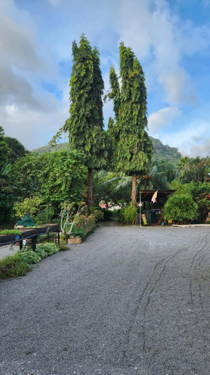 Green Self-Catering Apartment 博瓦隆 外观 照片